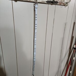 AE Y2K GrommetWebbing Belt